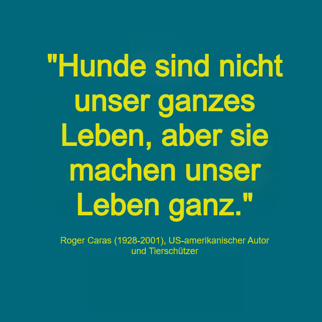 Hundeweisheit von R. Caras