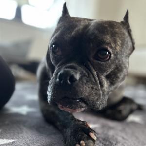 Nicole Raunecker und Rudi